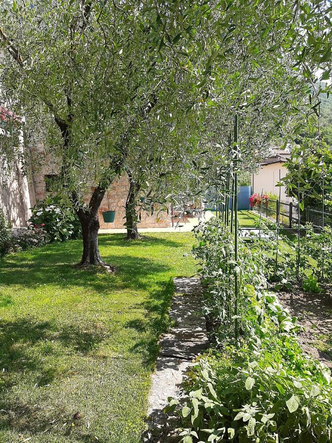 Apartment Maria Brenzone sul Garda Eksteriør bilde